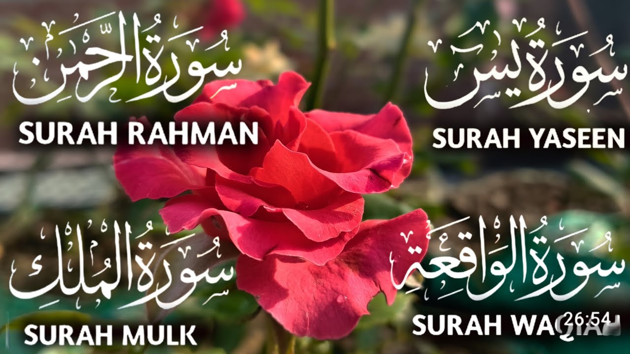 Surah Yaseen | Surah Rahman | Surah Mulk | Surah Waqiah | Beautiful Quran Recitation Ep145