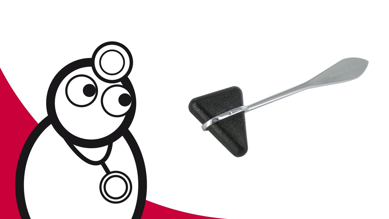 DocCheck Reflexhammer nach Taylor