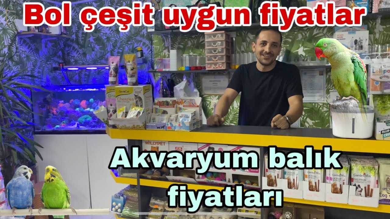 Güncel Akvaryum balık fiyatları/Muhabbet kuşu ve papağan fiyatları/Erka akvaryum gezimiz