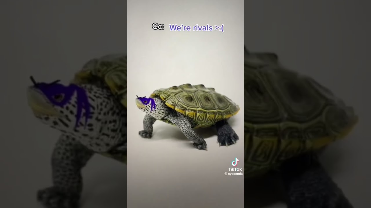 Tmnt 2012 jonatello TikToks |all credits to original creators|