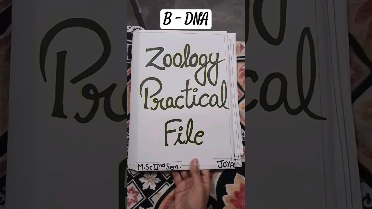 B - DNA zoology practical file...❤️❤️#b #dna  #practical #zoology #file #study #viralvideo#shorts