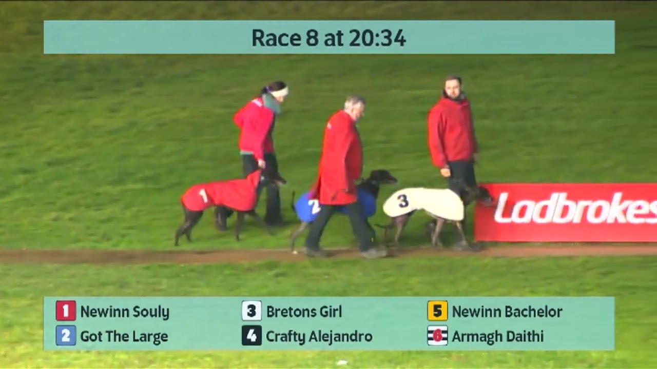 Monmore Greyhounds Races on 21st February 2026