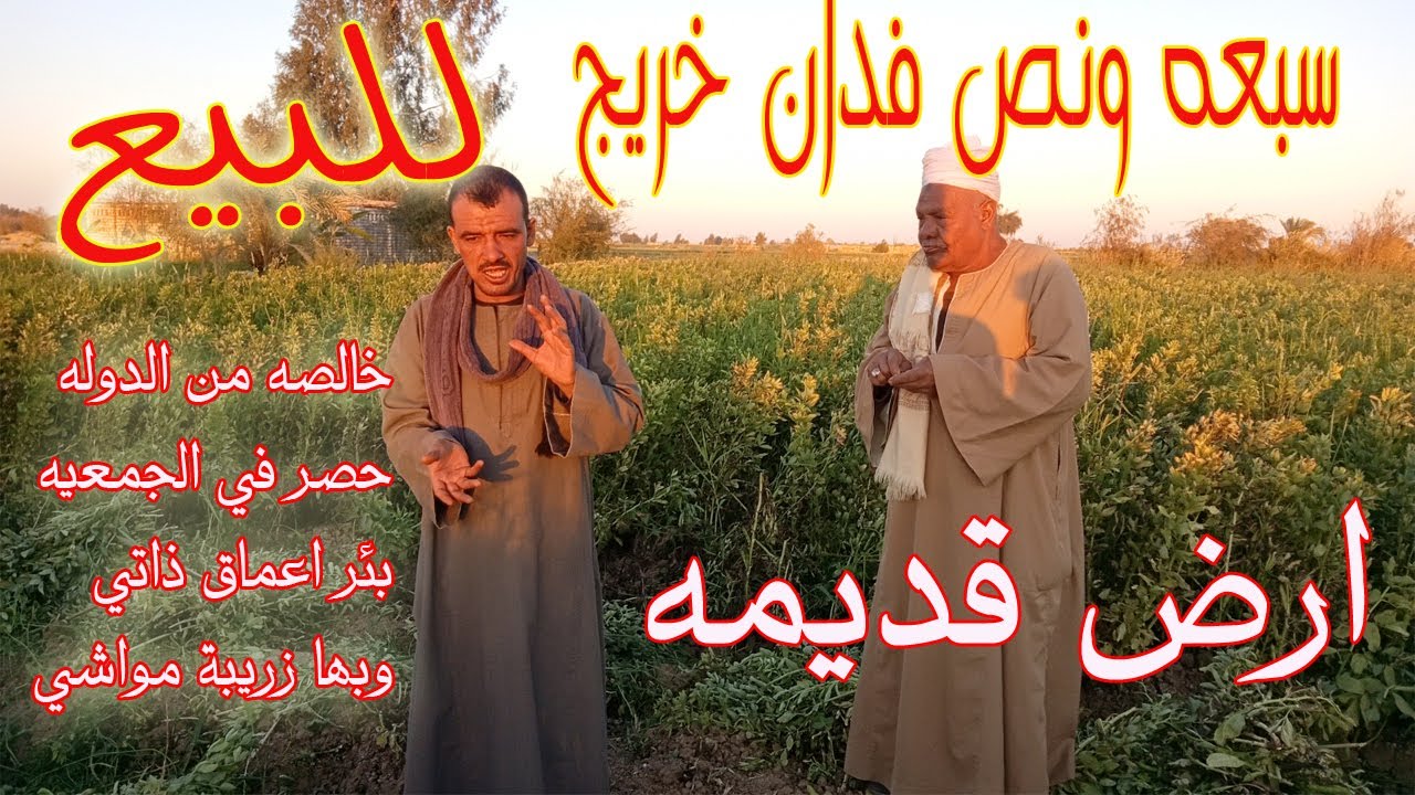 للبيع سبعه ونص فدان خريج علي بئر ذاتي اعماق ارض قديمه خالصه من الدوله