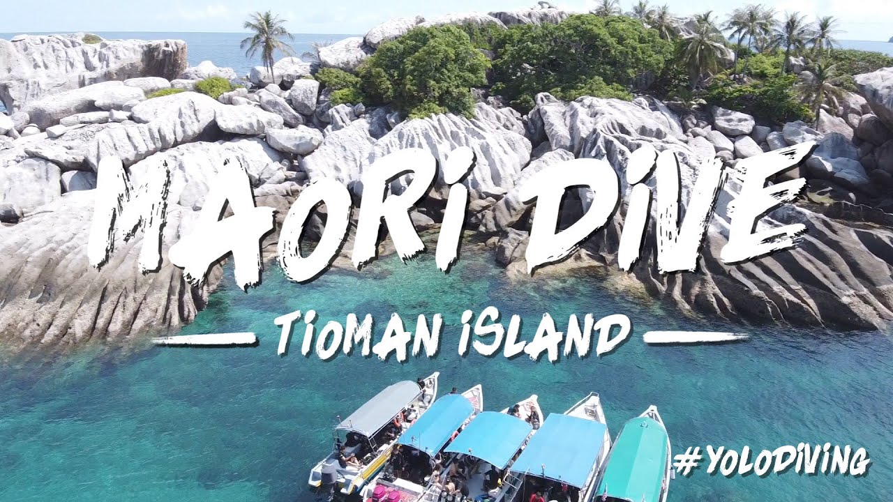 Tioman Island | YOLO DIVING | MAORI Dive Academy