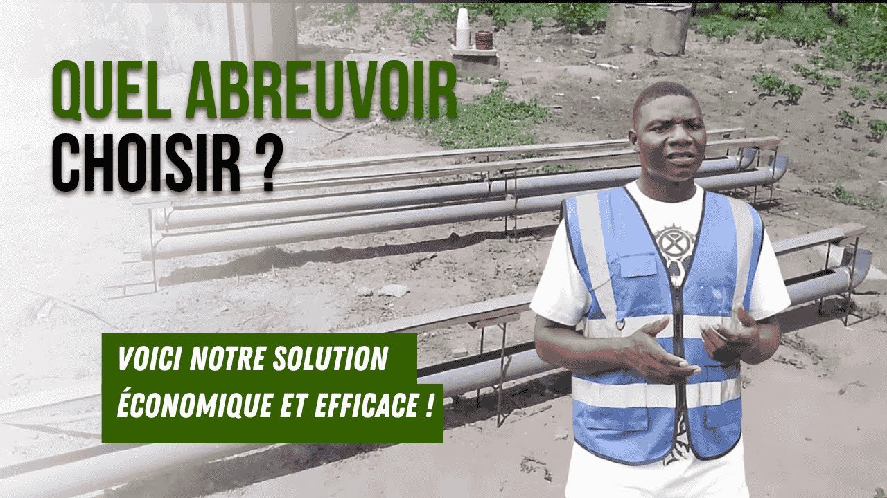 Réduire ses dépenses avec ce type d’abreuvoir