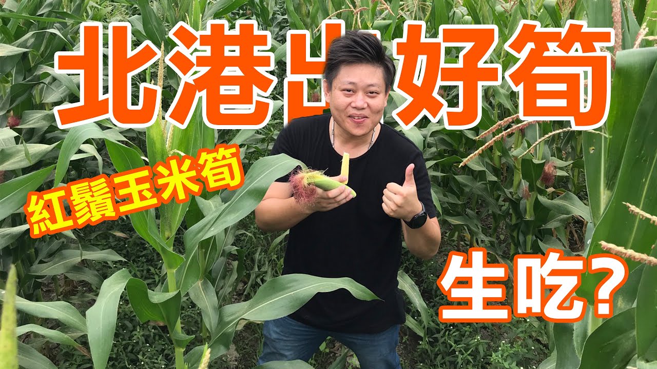 【雲林北港 紅鬚玉米筍】 原來從小到大是這樣