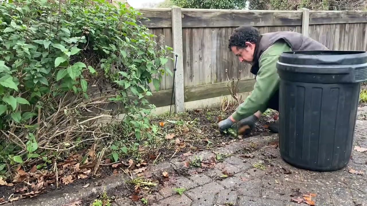 Tidying and pruning these messy borders in this front & rear yard