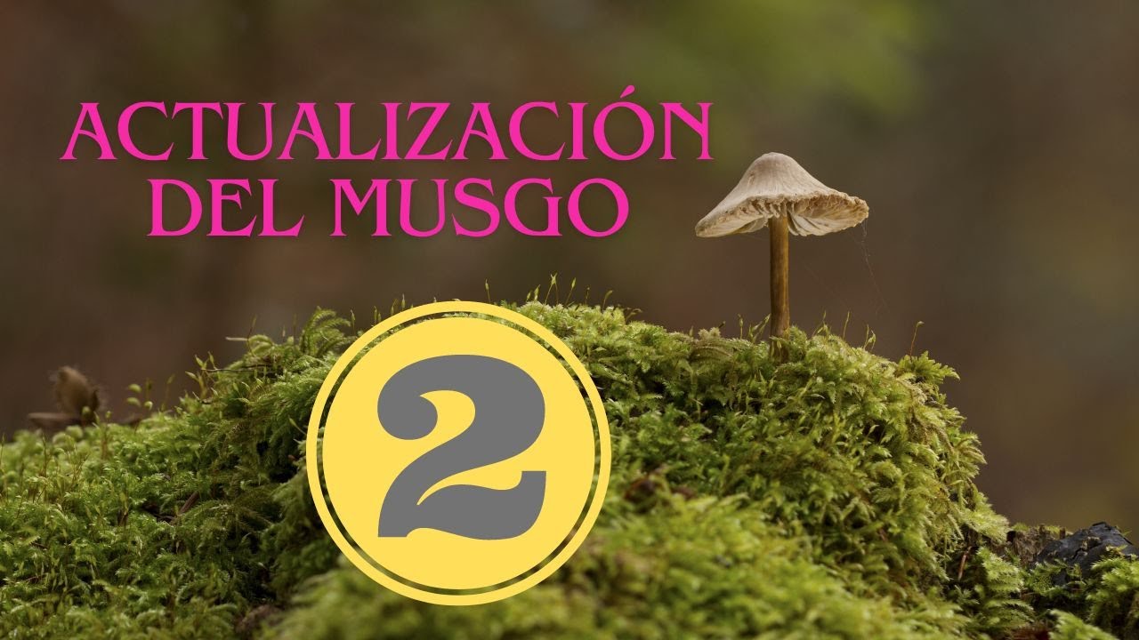 MUSGO PARA NUESTROS ÁRBOLES 2  #bonsái #arboles #naturaleza #plantas