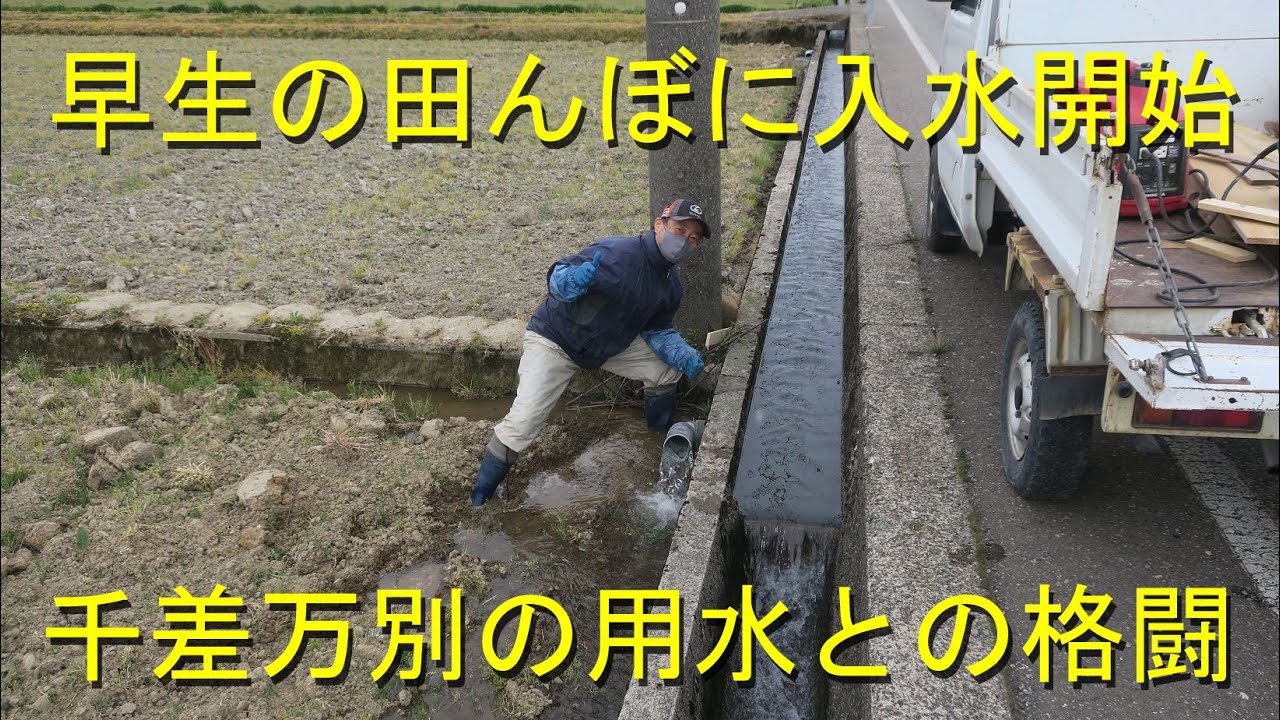 ハナエチゼンの田んぼへの入水完了・入水困難地帯が多く四苦八苦・2022