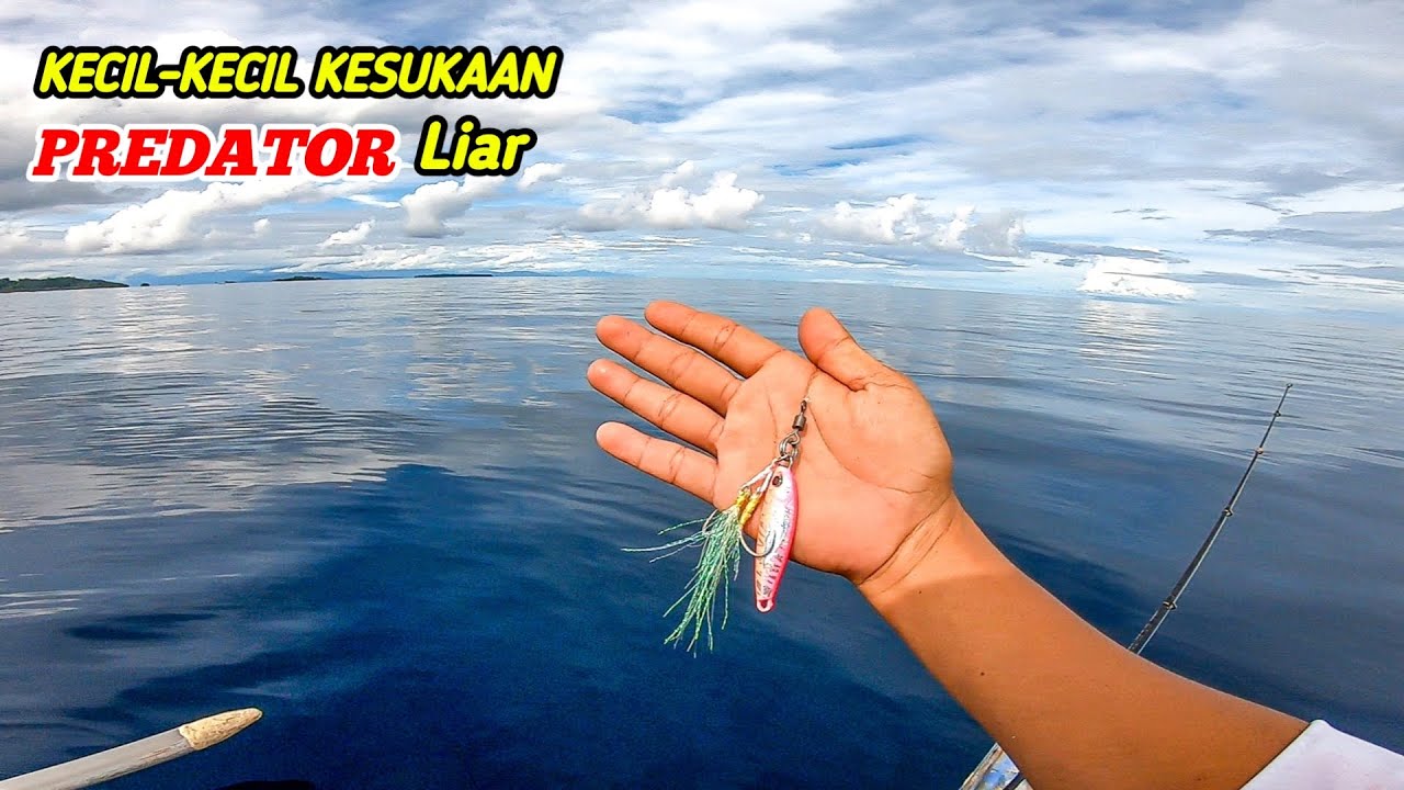 Baru Saja Turun Umpan Sudah Disambut, Mancing Light Jigging MJ 40Gr Dihajar Predator Babon