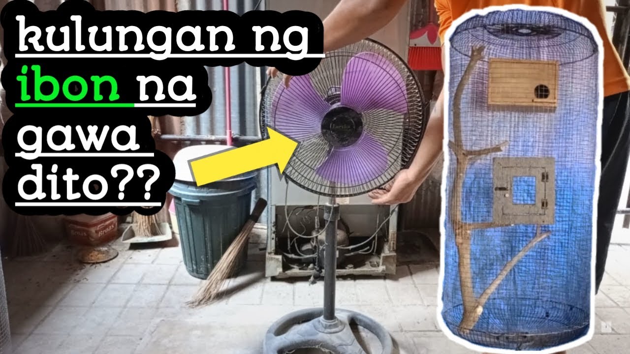 Your Birdy will love this🦜💖 diy bird cage from electric fan cover