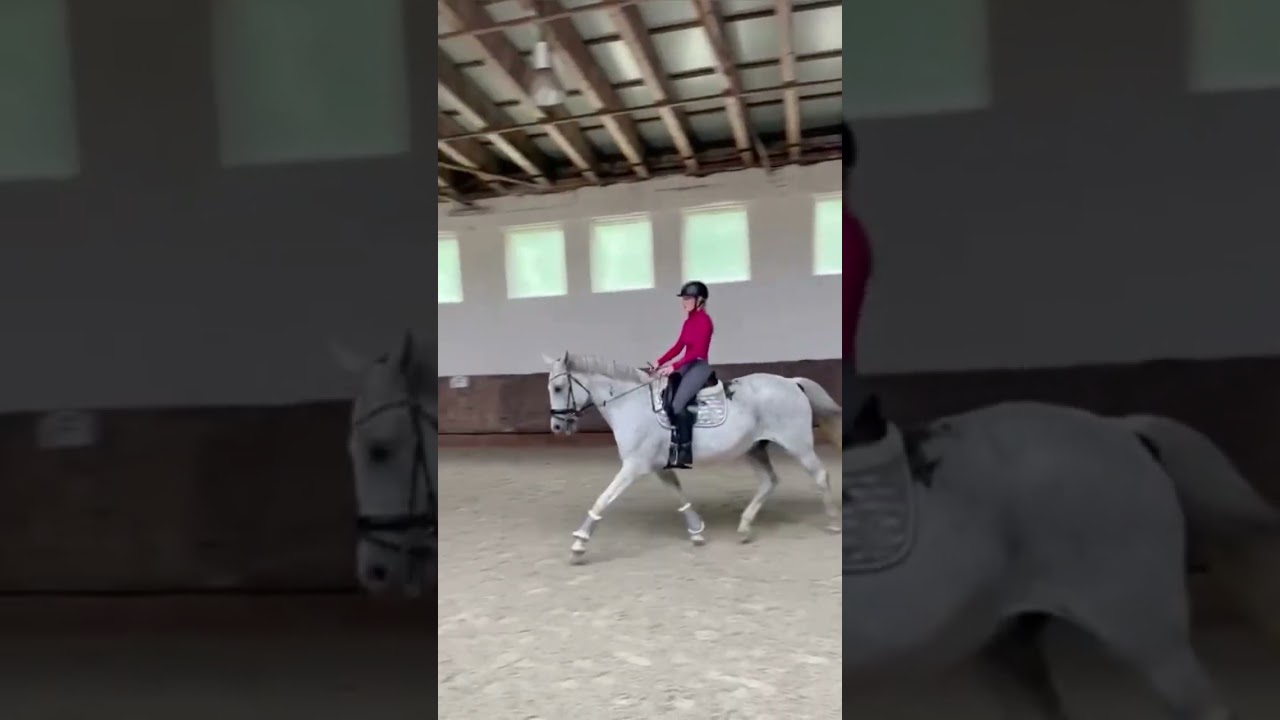 Auf dem Weg zum Mitteltrab 🤍 