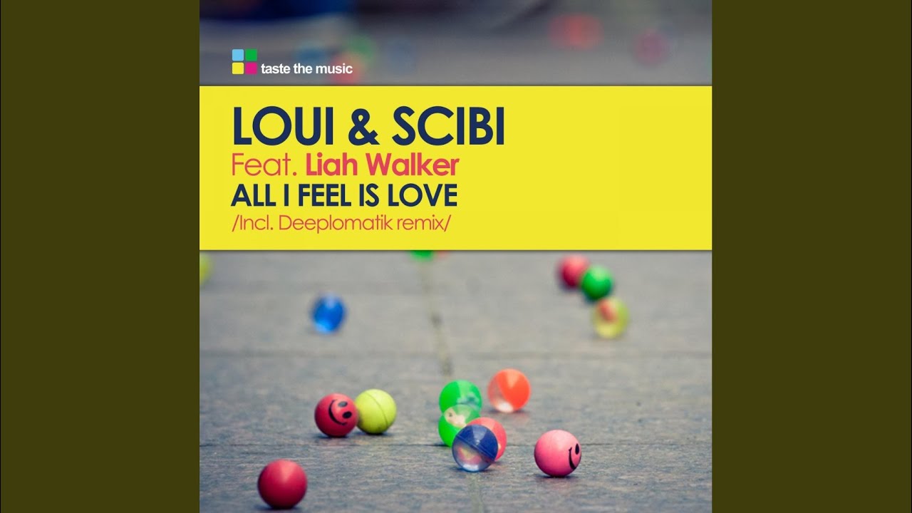 All I Feel Is Love