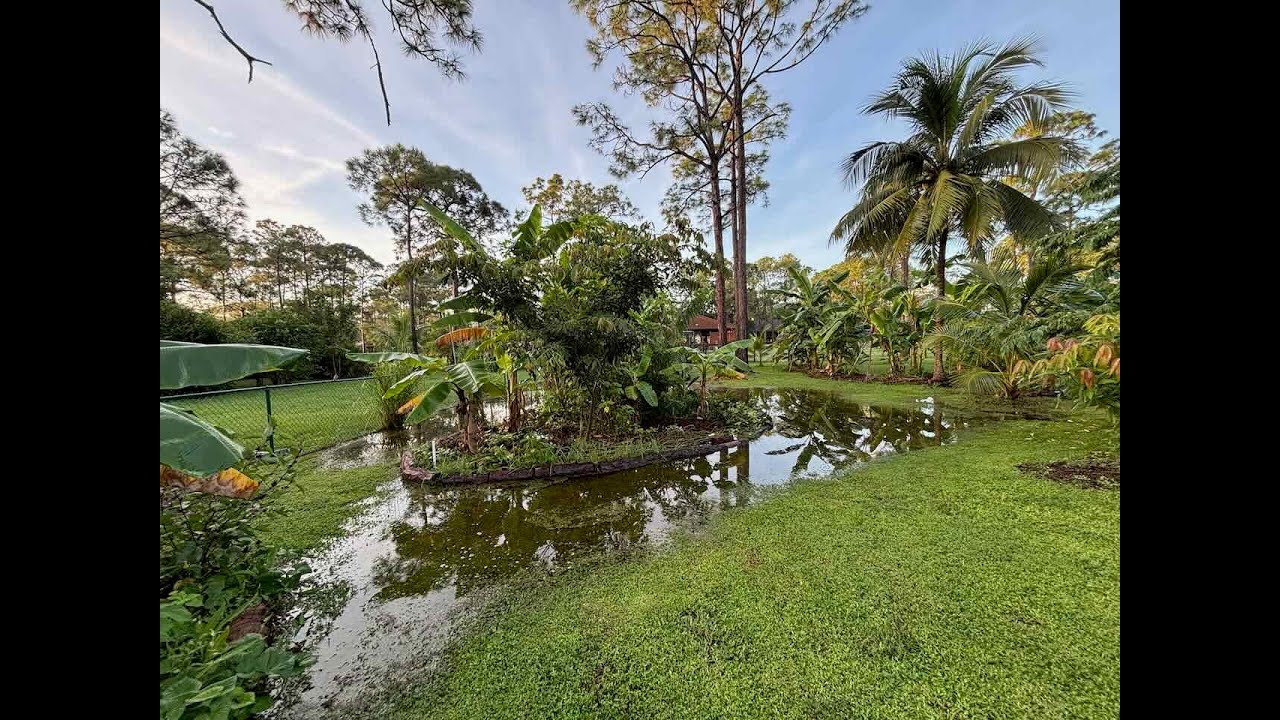 Standing water in our food forest: 17