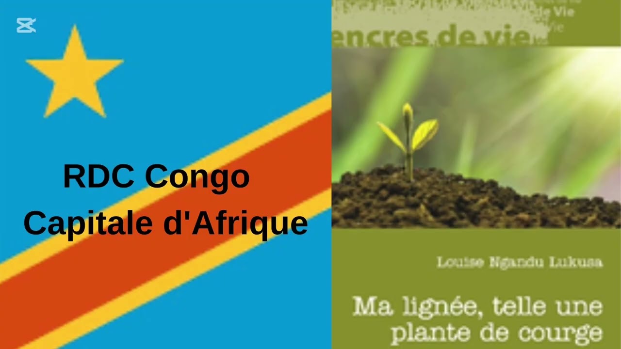 Interview de Louise Ngandu pour son livre 