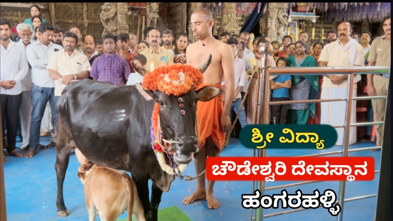 ಶ್ರೀ ವಿದ್ಯಾ ಚೌಡೇಶ್ವರಿ ಅಮ್ಮನವರ ದೇವಸ್ಥಾನ ಹಂಗರಹಳ್ಳಿ | Sri Vidya Chowdeshwari Temple Hangarahalli
