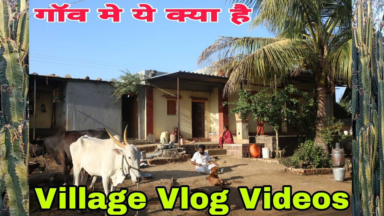 Indian Village Vlog Video | Village Vlog Videos