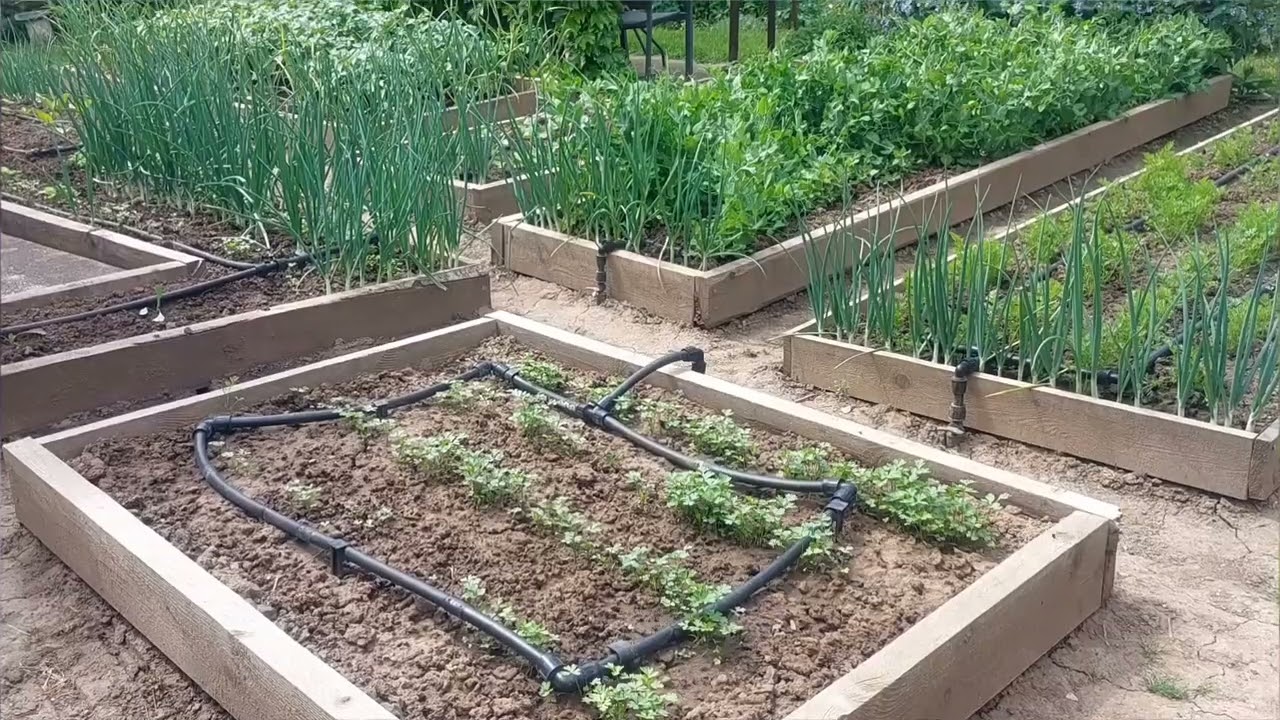 2025 m&aacute;jus, konyhakert 🏡👩&zwj;🌾