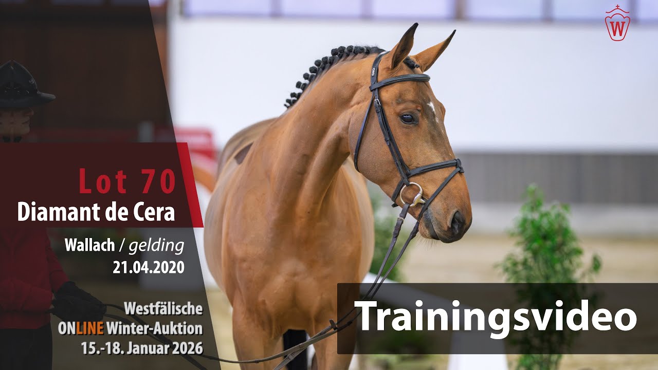 Winter-Auktion 2026 Training Lot 70 Diamant de Cera Wallach v. Diamant De Semilly - Cornet Obolensky