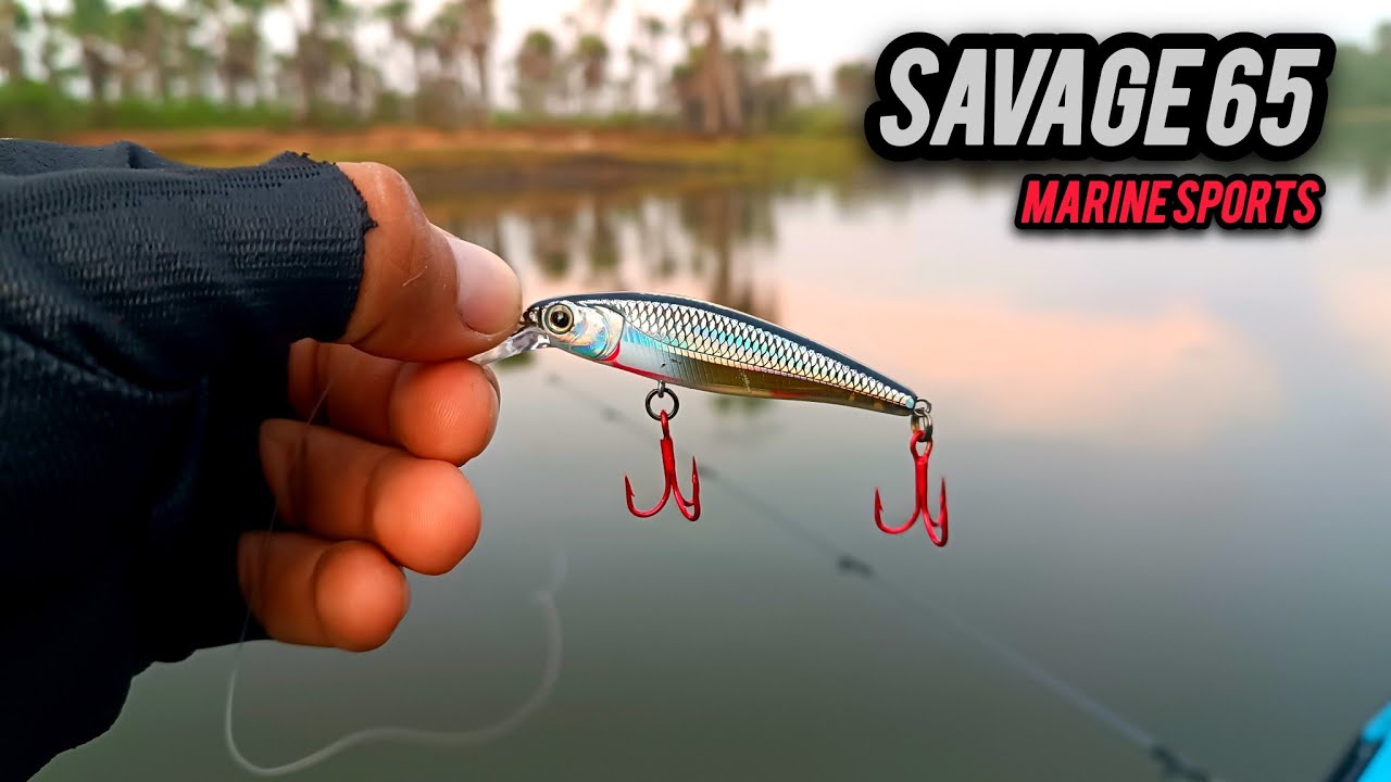 ISCA SAVAGE 65 - COR 116 MARINE SPORTS SALVOU A PESCARIA ✅