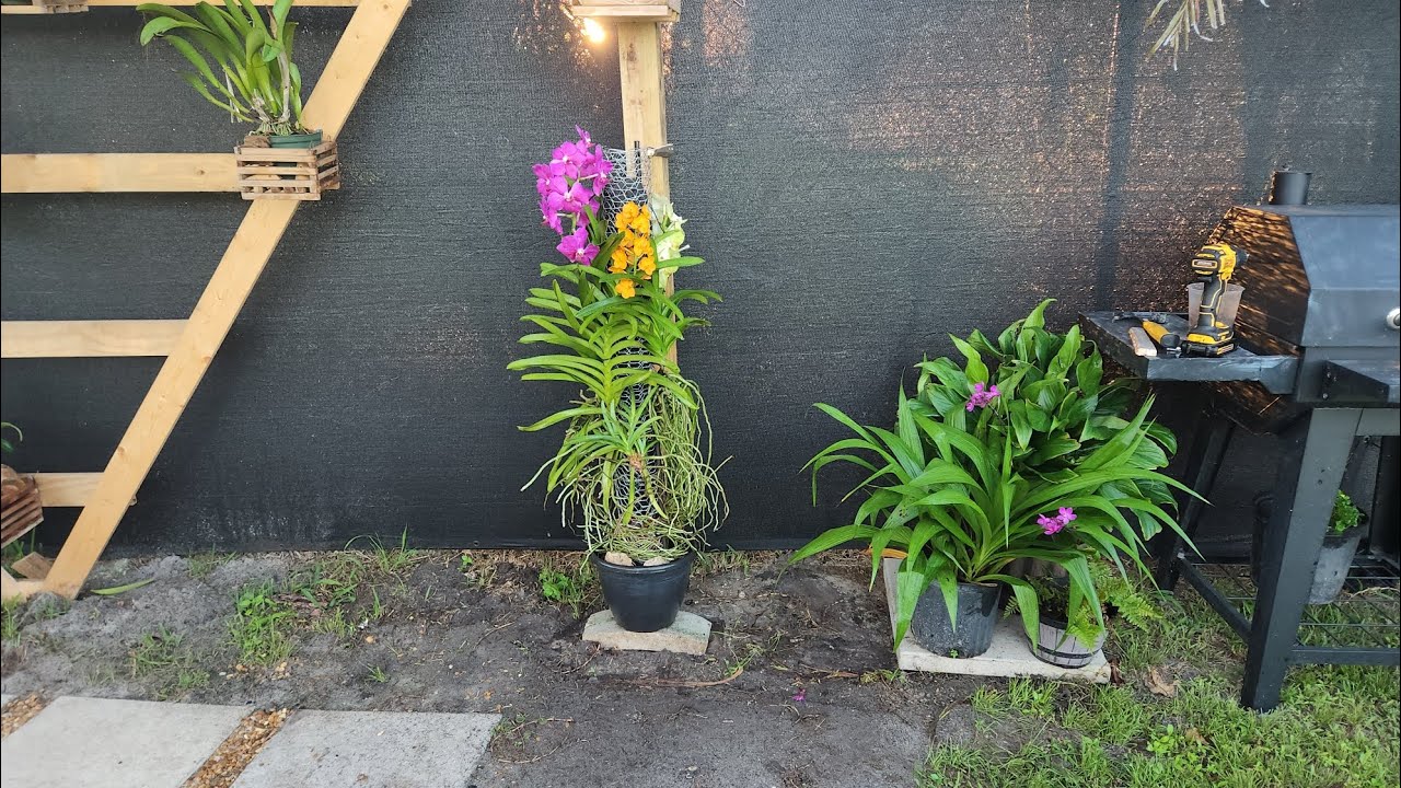 cómo hacer un tronco para orquideas vanda paso a paso