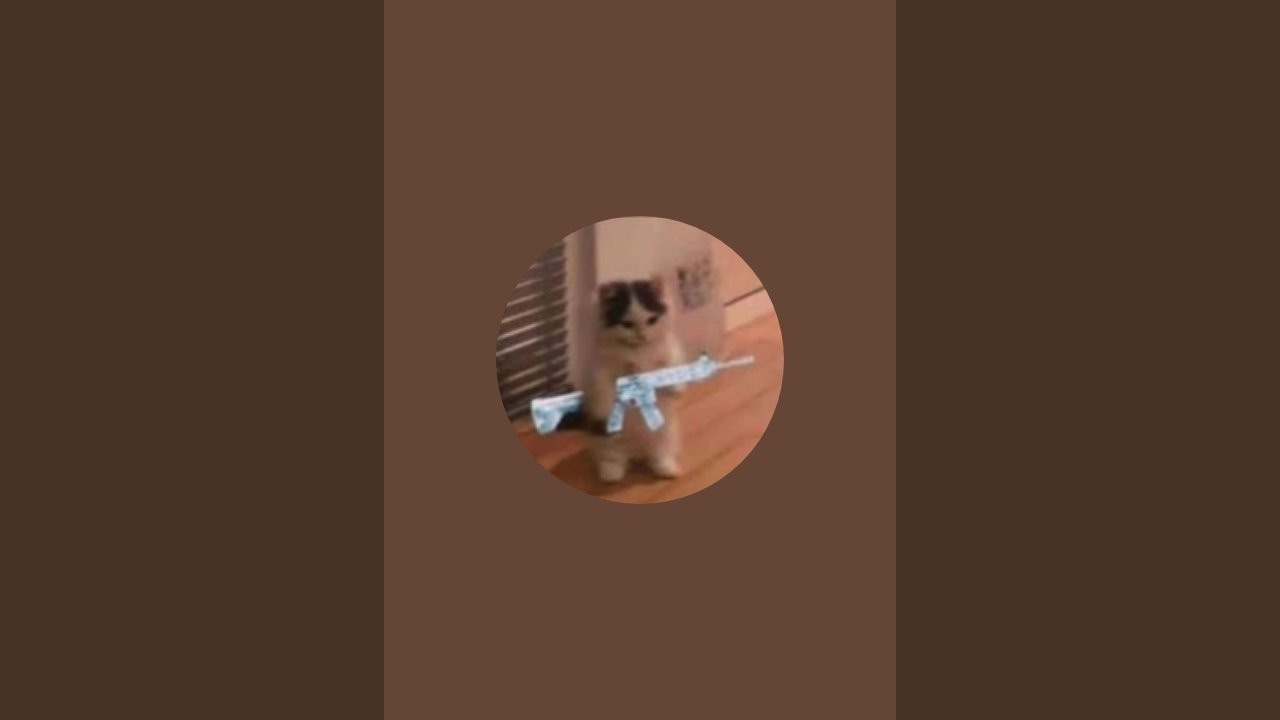 tdm oynuyoz