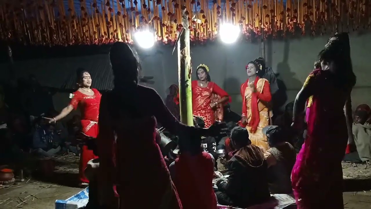 নাচে গানে ভরপুর সেই বিনোদন ভাই 