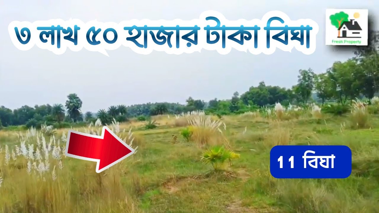 Fp - 1350 | ৩ লাখ ৫০ হাজার টাকা বিঘা | 9073 145 145
