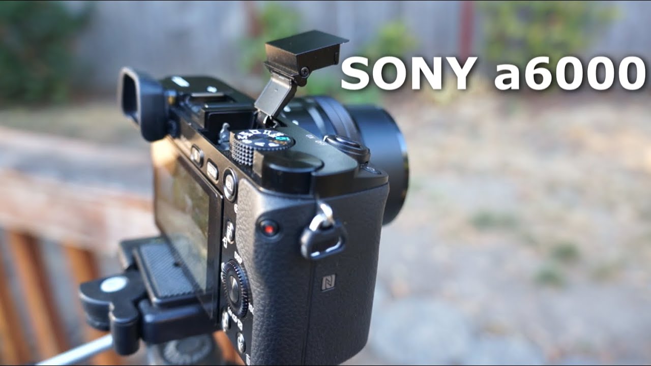 Обзор и видеоматериал SONY a6000 — лучшая беззеркальная камера