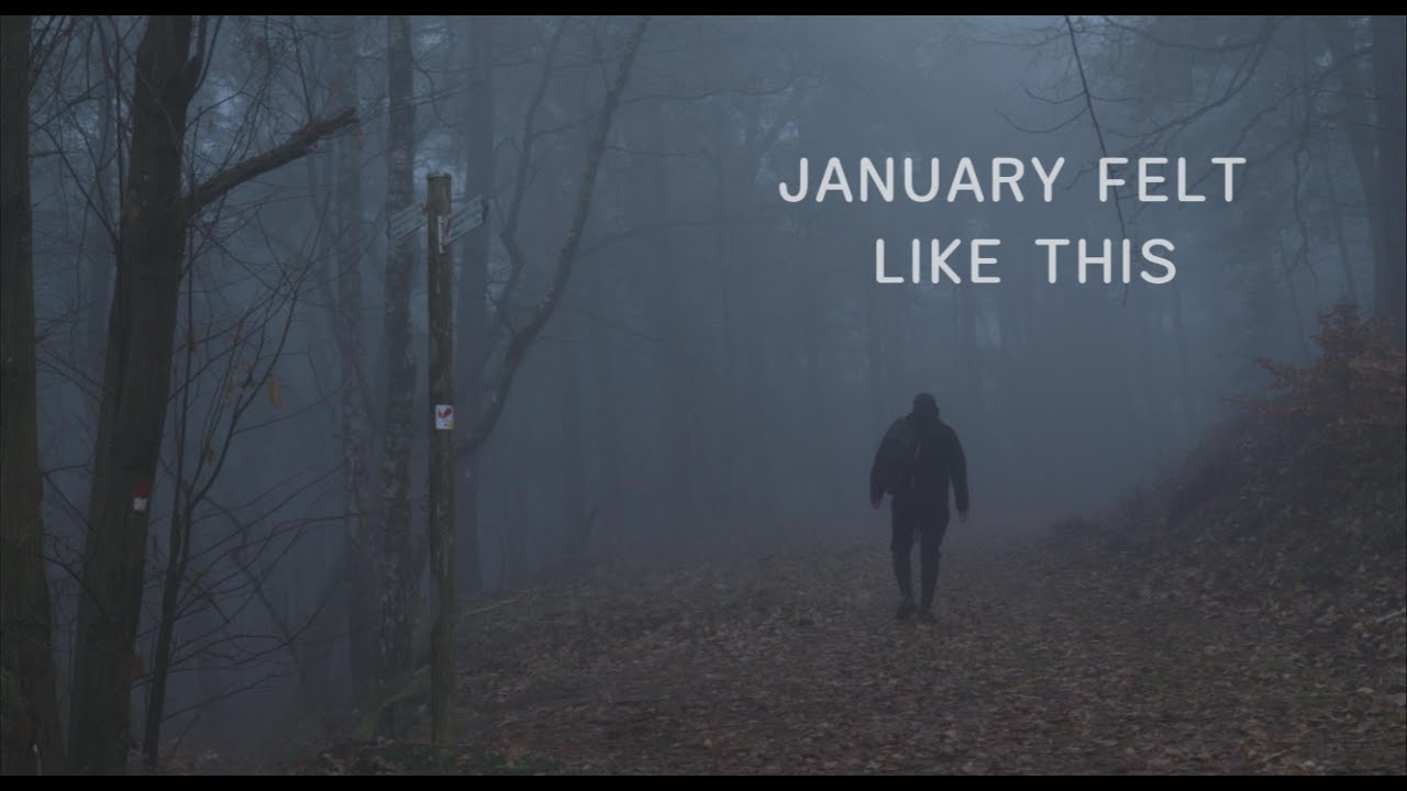 January Felt Like This — A Quiet Cinematic Walk