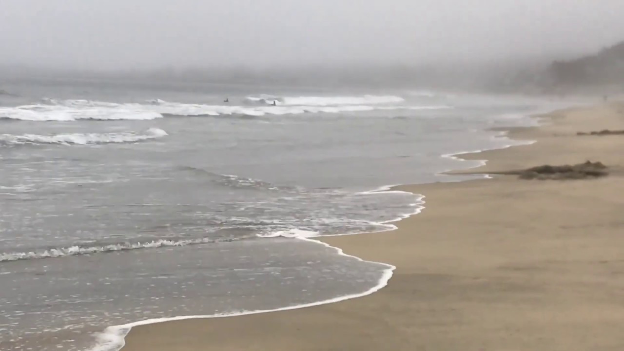 🌊A Day at the Beach: Ocean Science &bull; ASMR &bull; Soft Spoken🌊