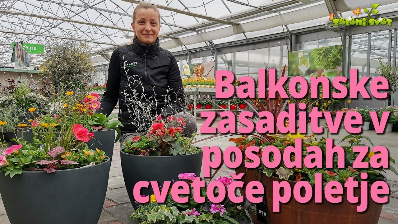 Balkonske zasaditve v posodah za cvetoče poletje