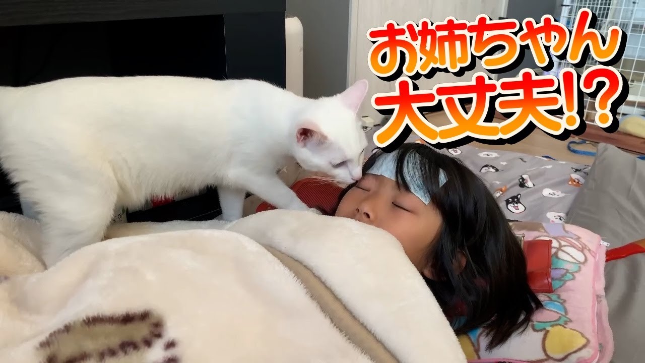 高熱で寝込んでるなっちゃんを心配する白猫のこさちゃん