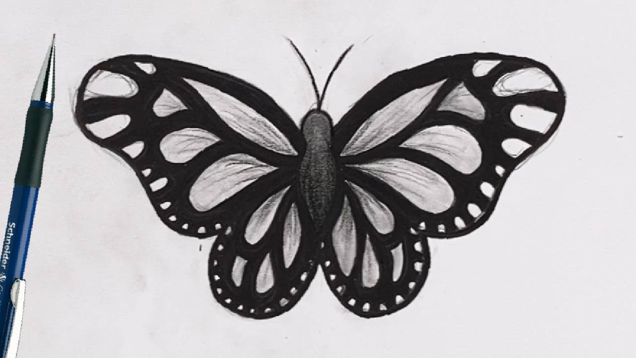 Comment Dessiner Un PAPILLON AU CRAYON Réaliste [Noir et Blanc]
