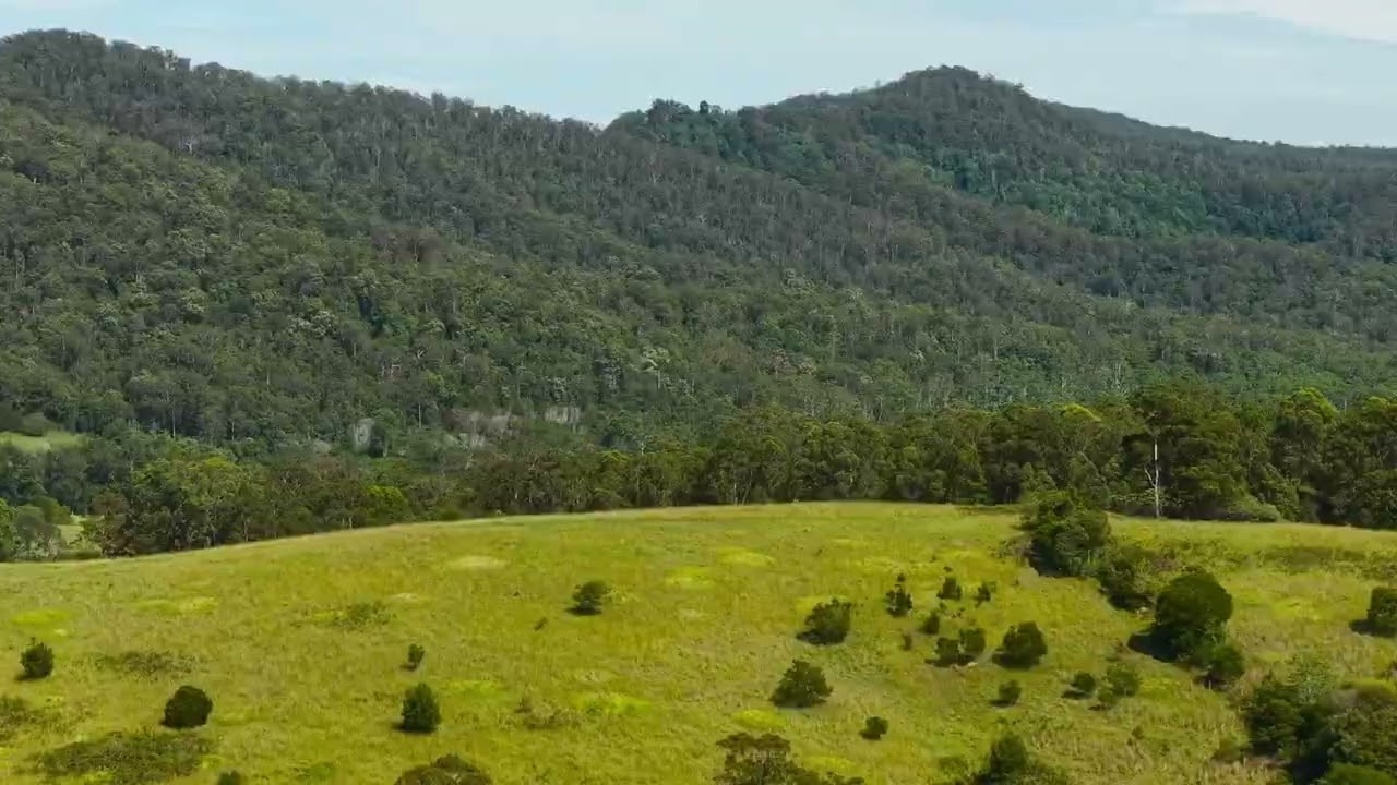 Lot 171 & 172 Calara Lane, Hollisdale  |  Rural Sales