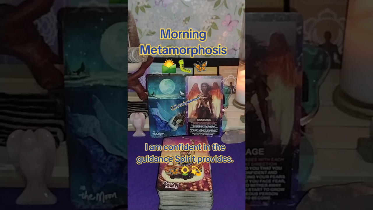 🌅🐛🦋 Your Intuition Knows The Way #tarot #inspiration #courage #morningmotivation #themisdamour 