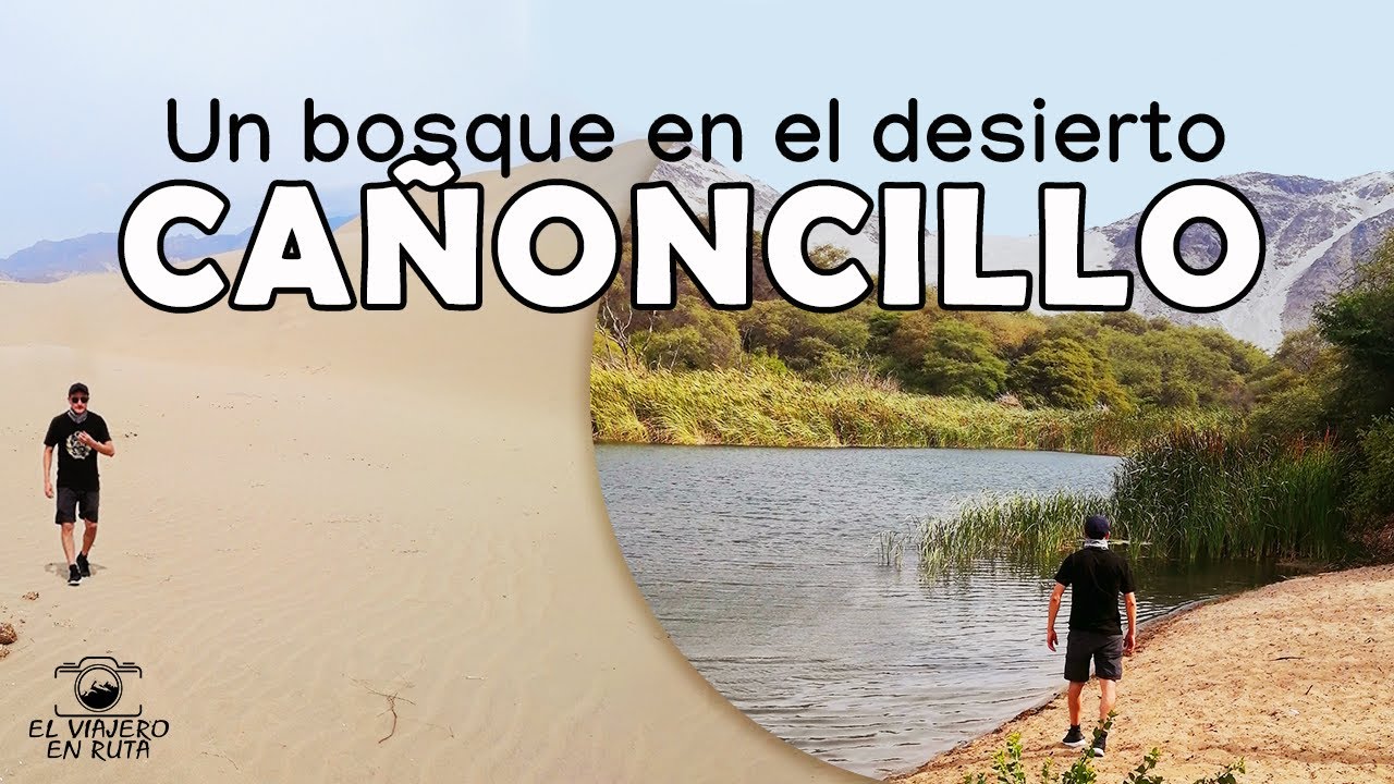SAN PEDRO DE LLOC y CAÑONCILLO: Un bosque en el desierto