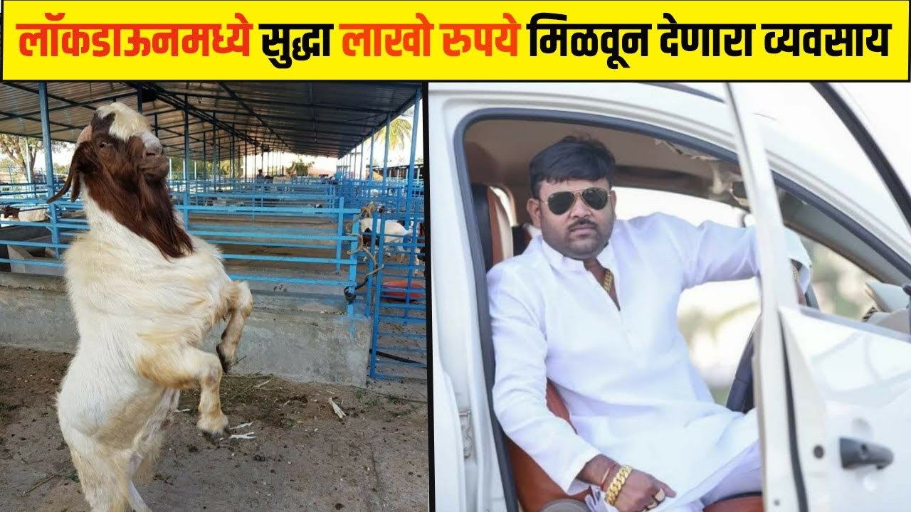 #goatfarm #tejas_lengre #chetan_sawant शेळीपालनातून तब्बल ७० लाखांची कमाई-तेजस लेंगरेची यशोगाथा !