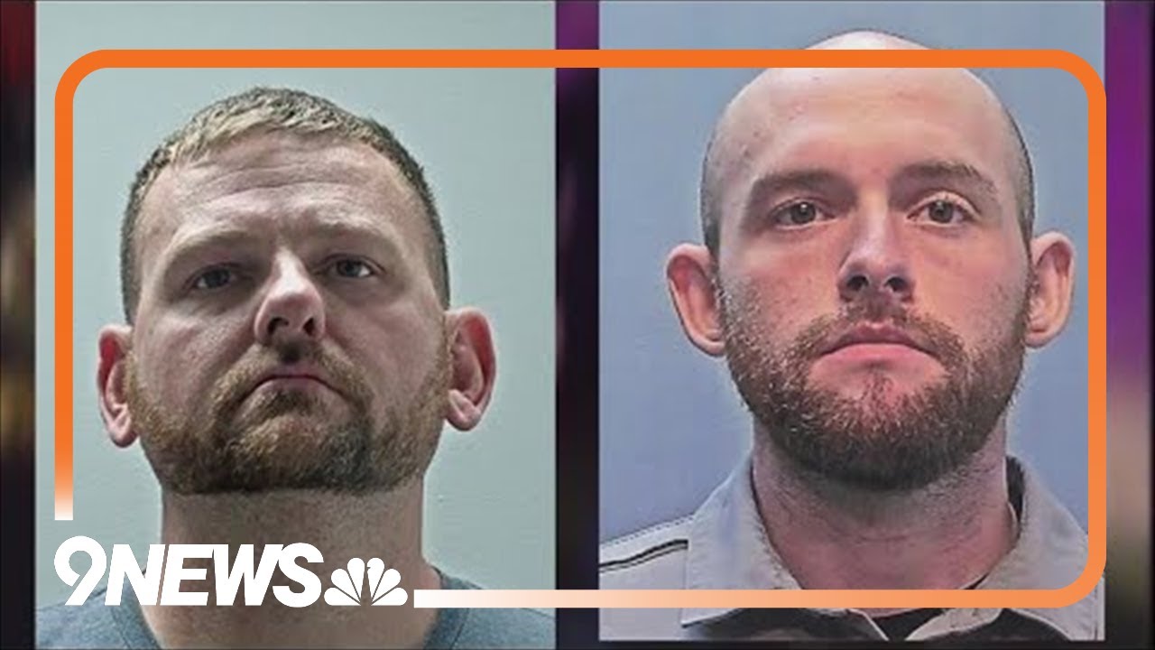 Use of force expert testified about violations committed by officers facing charges in Elijah McClai