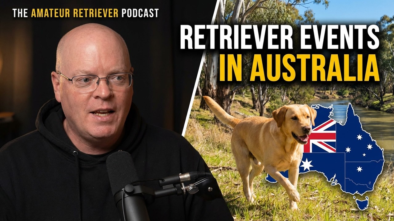 Australian vs American Retriever Trials: The Biggest Differences (The Amateur Retriever Podcast)