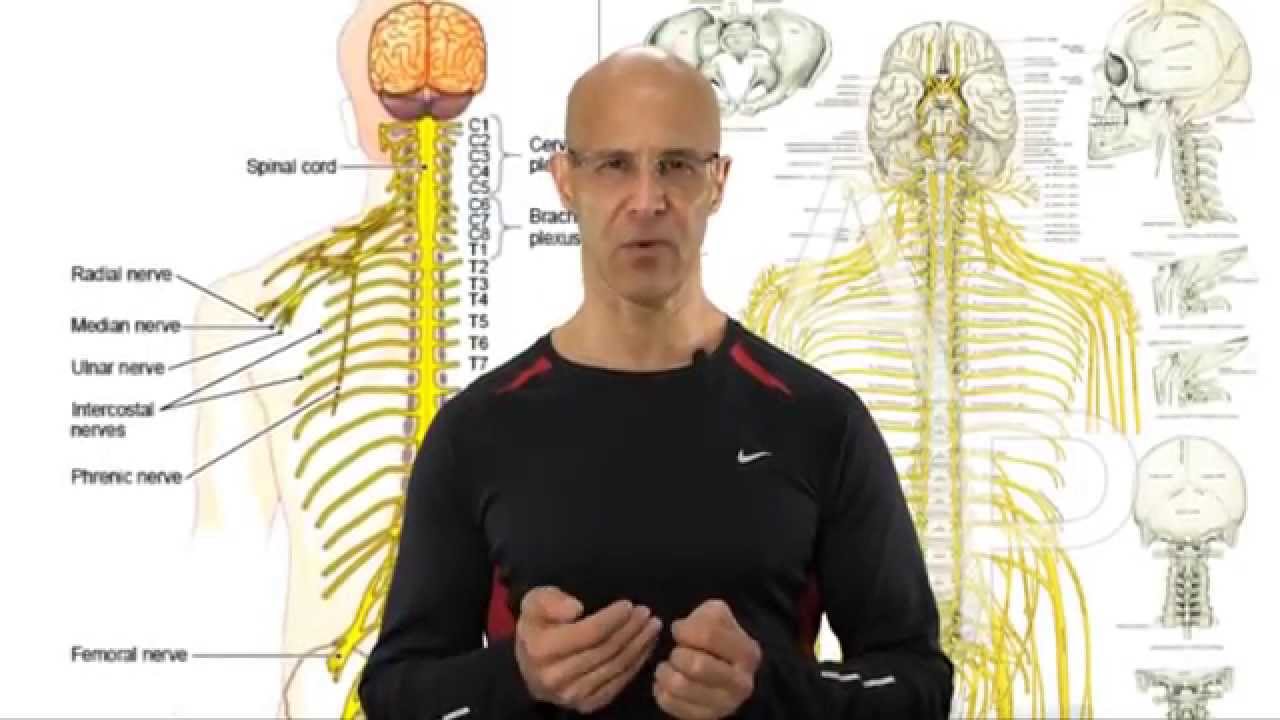 Scalenus Stretch Release Exercise - The Hidden Cause to Neck Pain and Pinched Nerve - Dr Mandell
