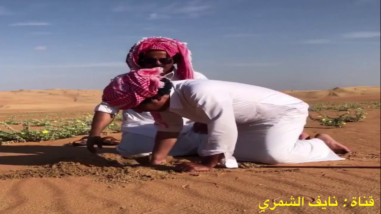181 - قصة العتيبي مع الشمري ✋🏻💔 وقصيدة العتيبي اخر شيء