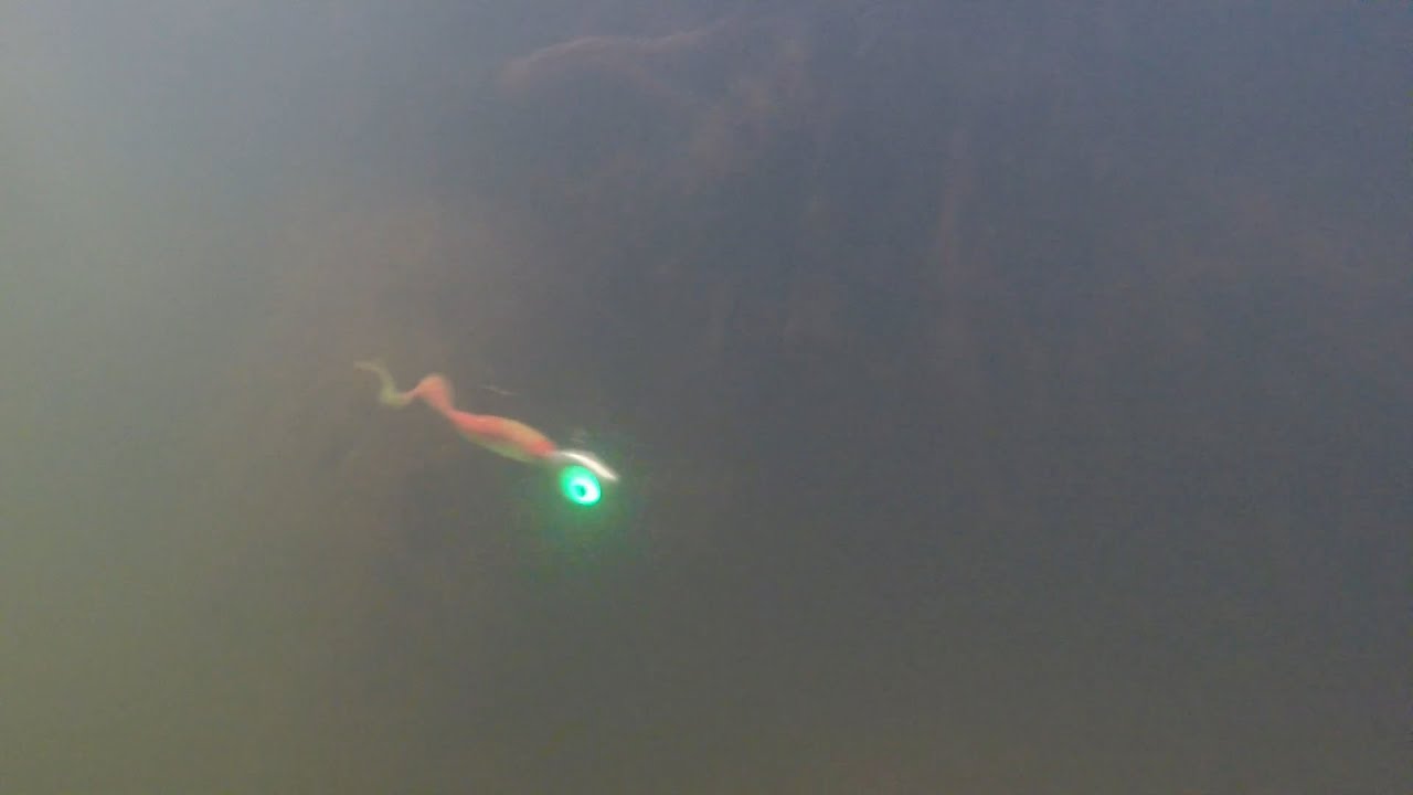 Glowbite Softbait / Soft plastics Jig Head
