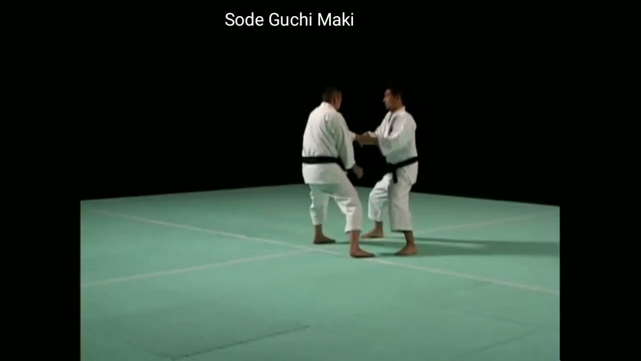 Waza Dan 3 | Shorinji Kempo Waza (Techniques) | Part B | 少林寺拳法