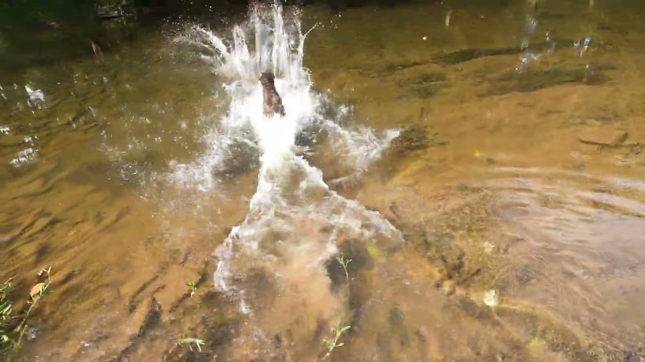 Shermans Creek Sept. 2022
