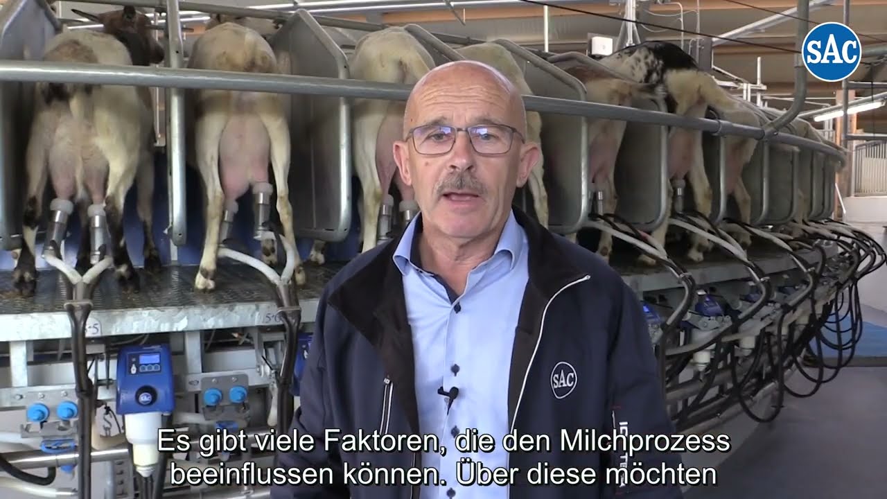 Die Bedeutung einer guten Wegeführung von den Ziegen zum Melkstand