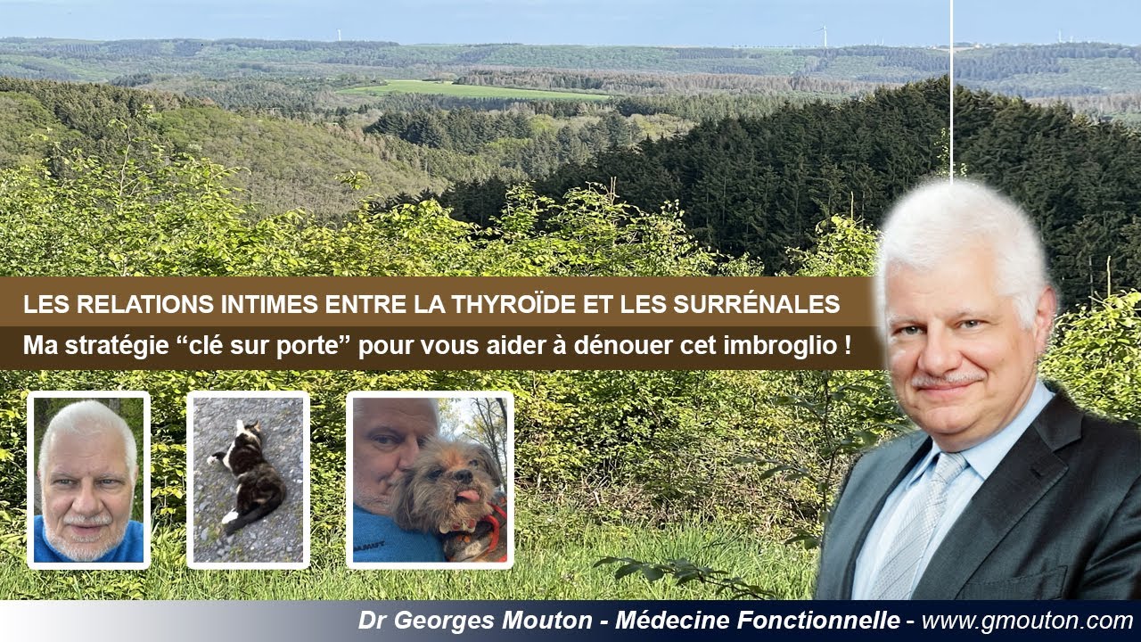LES RELATIONS INTIMES ENTRE LA THYRO&Iuml;DE ET LES SURR&Eacute;NALES