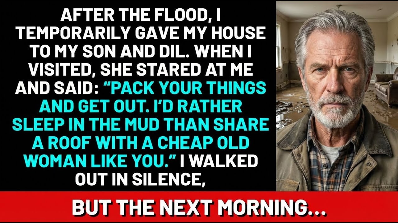 After the flood, I temporarily gave my house to my son and daughter in law  When I visited, she