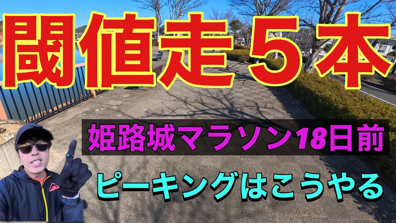 【レース18日前】姫路城マラソンへ向け淡々と閾値走5本（sub3.5）