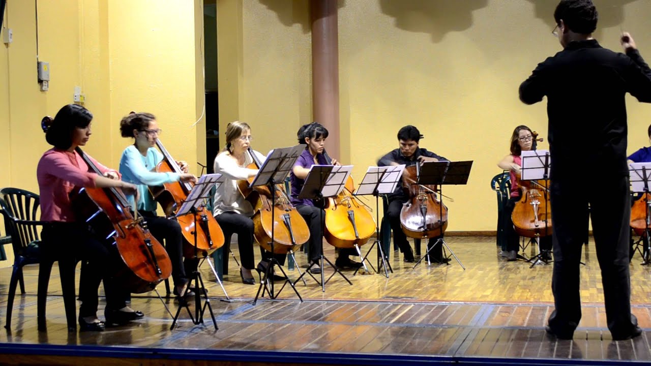 Grieg: Matrosenlied - arr. for cellos - Cello Ensemble, Bolivia